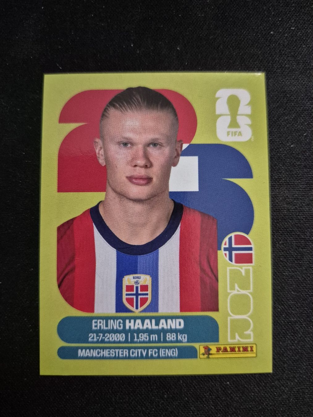 Erling Haaland Panini Sticker FIFA World Cup 2026 NOR 15 (Neu (gemäss ...