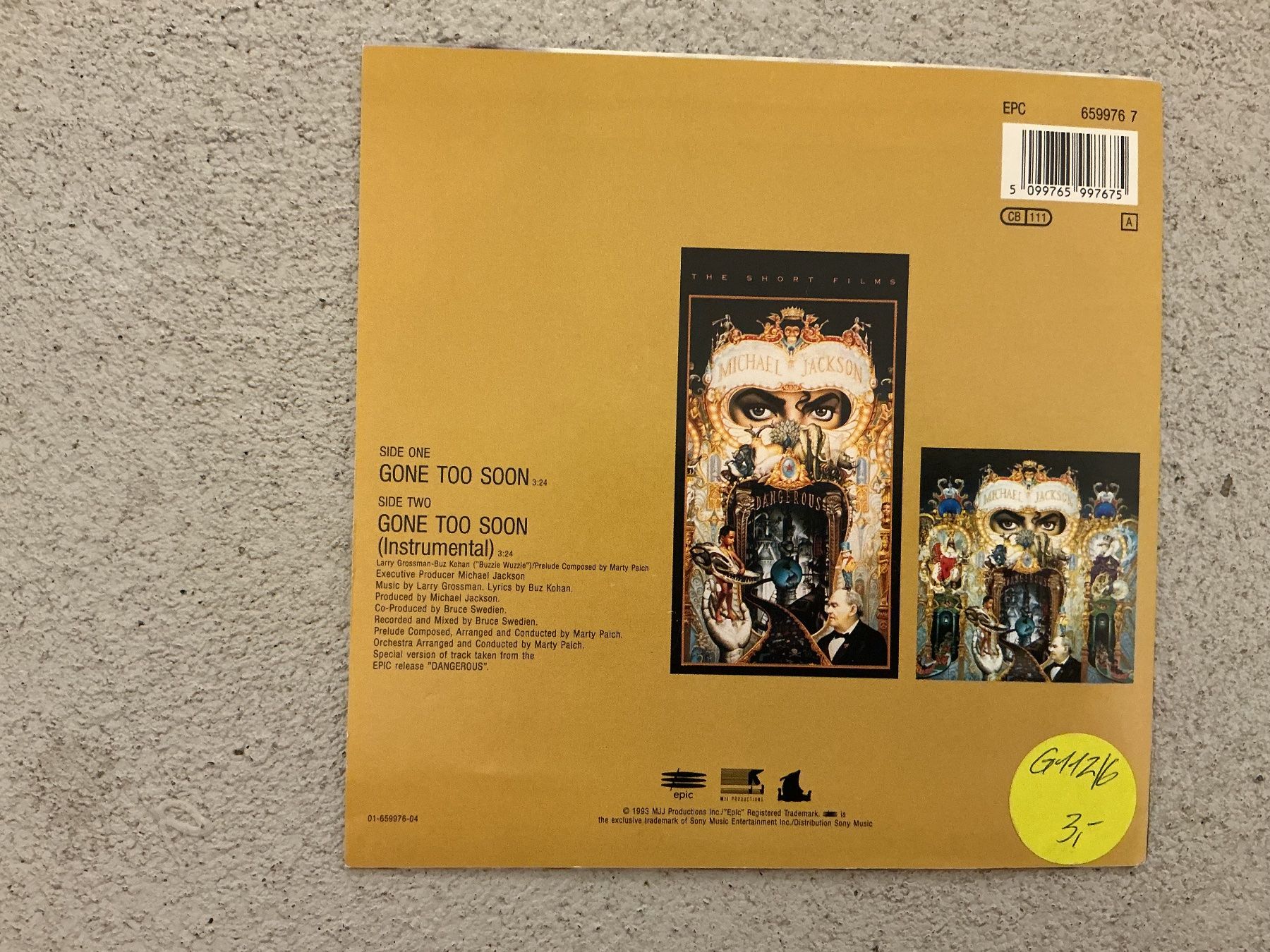 Dischi in vinile: Michael Jackson Single - Gone Too Soon – Usato da Winterthur venduto da Tumko_7_Vinyl 1