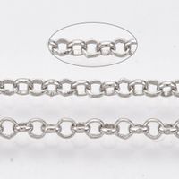 1m Kette  Jasseron 2.5x0.7mm Metall