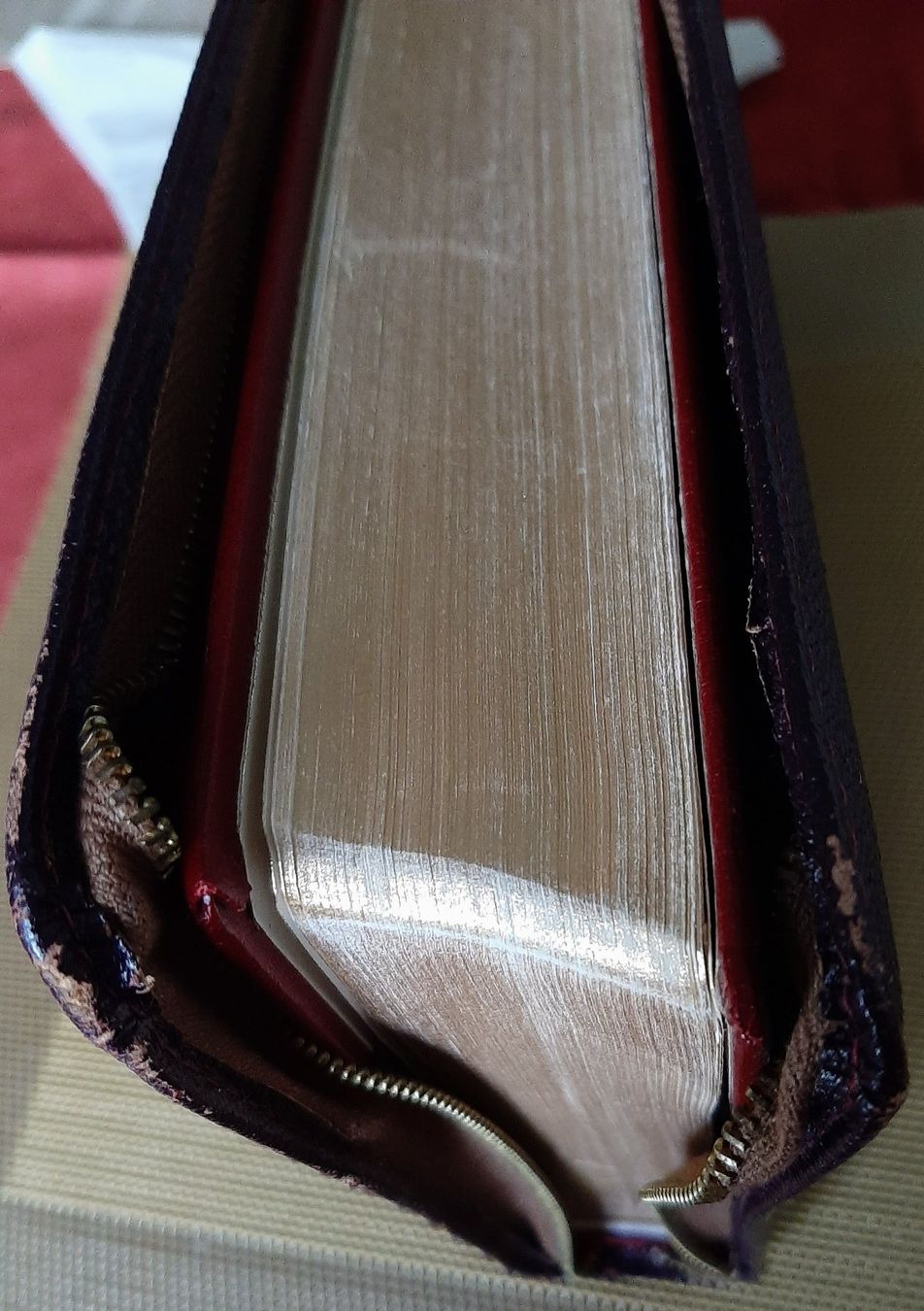 Libri: Bibel Scofield – Usato da Zürich venduto da Zurich 8