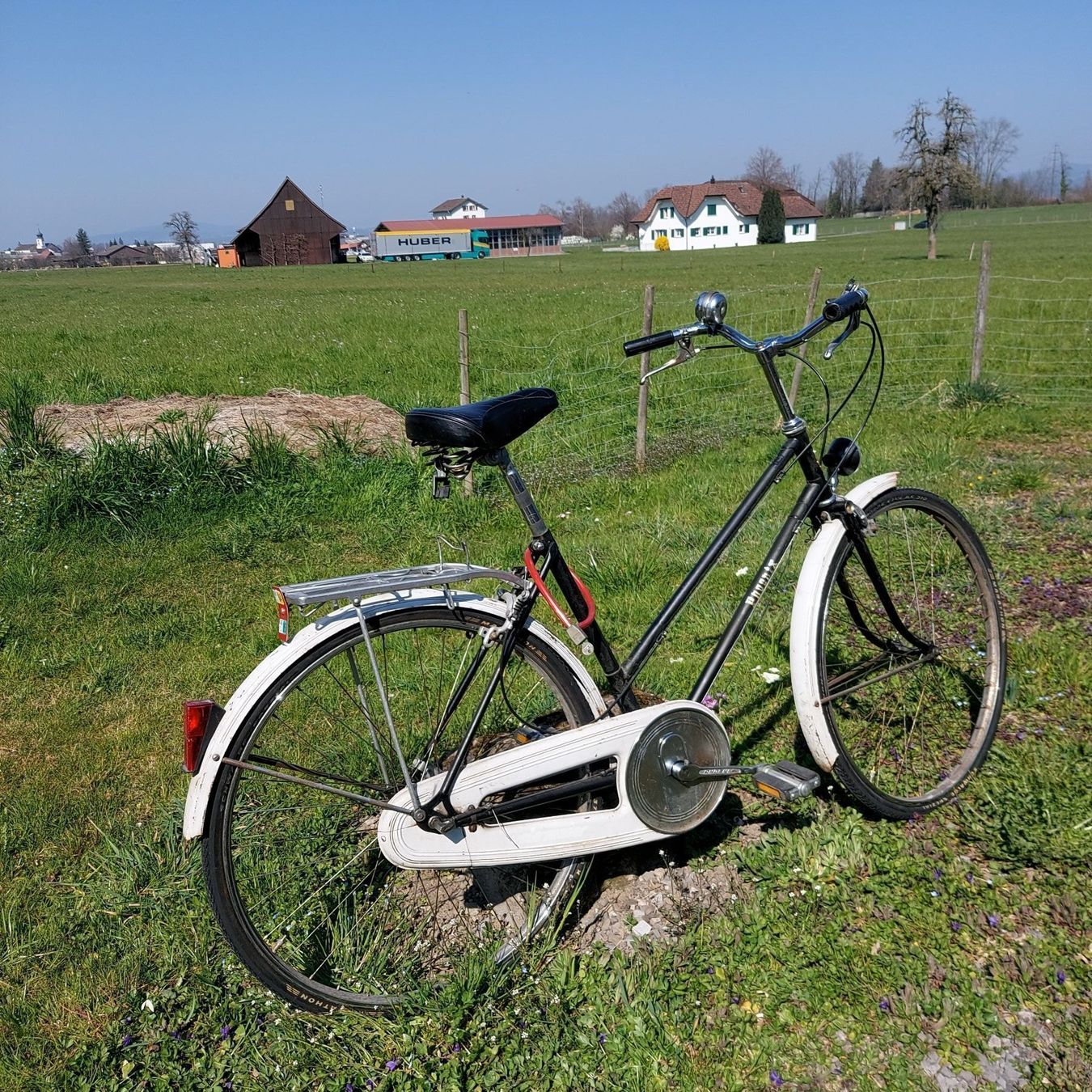 Biciclette: Velo Feng Huan-Phoenix – Usato da Siebnen venduto da Mark_SZ 6