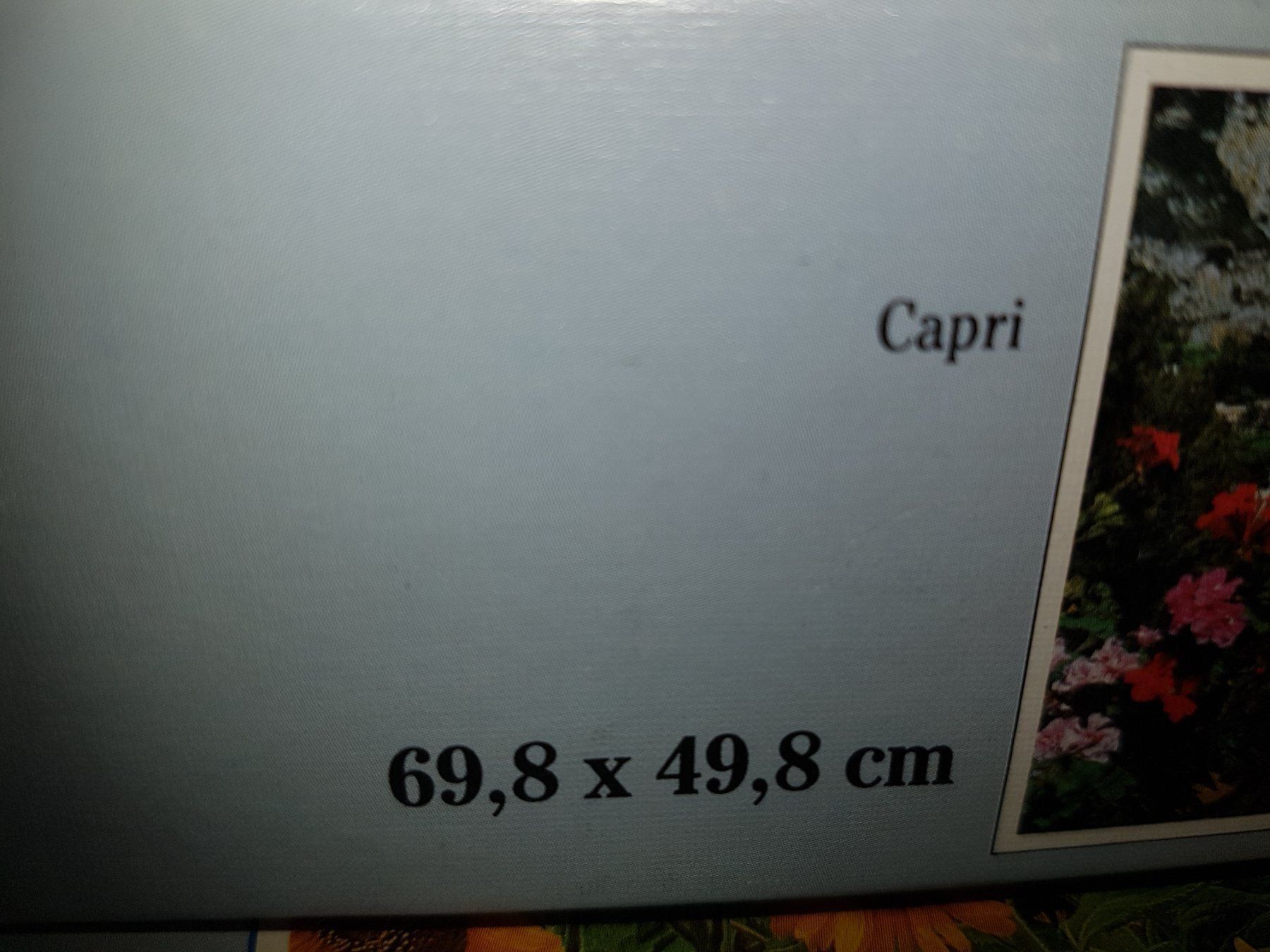 Ravensburger Puzzles: Puzzle Capri B – Gebraucht aus Schwarzenburg von Flamingo07 1