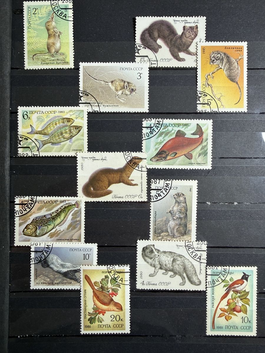 Album: Briefmarken Sammlung 1/4 - vorwiegend Polen – Usato da Vaz/Obervaz venduto da rea_w8cv