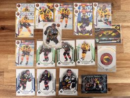 Sportzoo Series 2 + Playoffs 24/25 SC Bern SCB