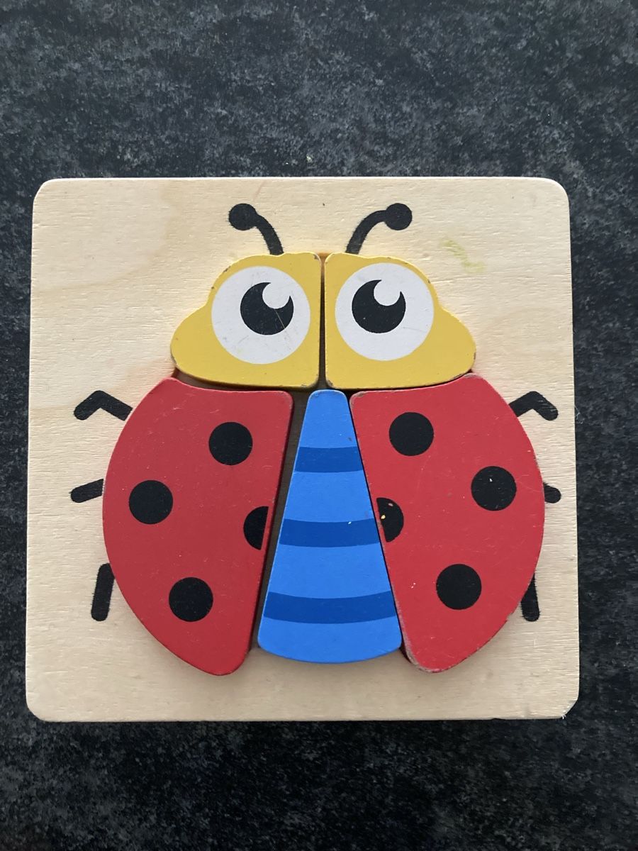 Puzzles: Holz-Puzzle Marienkäfer & Eule – Gebraucht aus Hunzenschwil von nixnevis 1