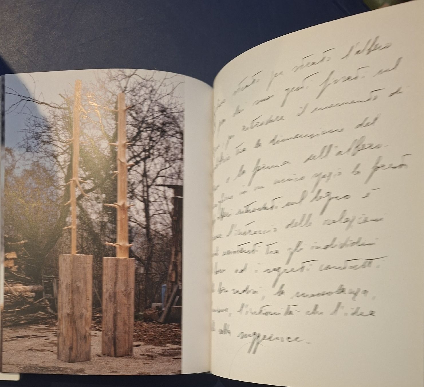 Bücher: Giuseppe Penone Buch Actes Sud Musee de Grenoble Buch – Neu (gemäss Beschreibung) aus Niederglatt ZH von Siegfried67 9