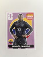 Panini extra sticker Moises Caicedo