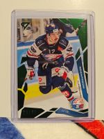 Sportzoo. Alessandro Segafredo 29/30. ZSC Lions