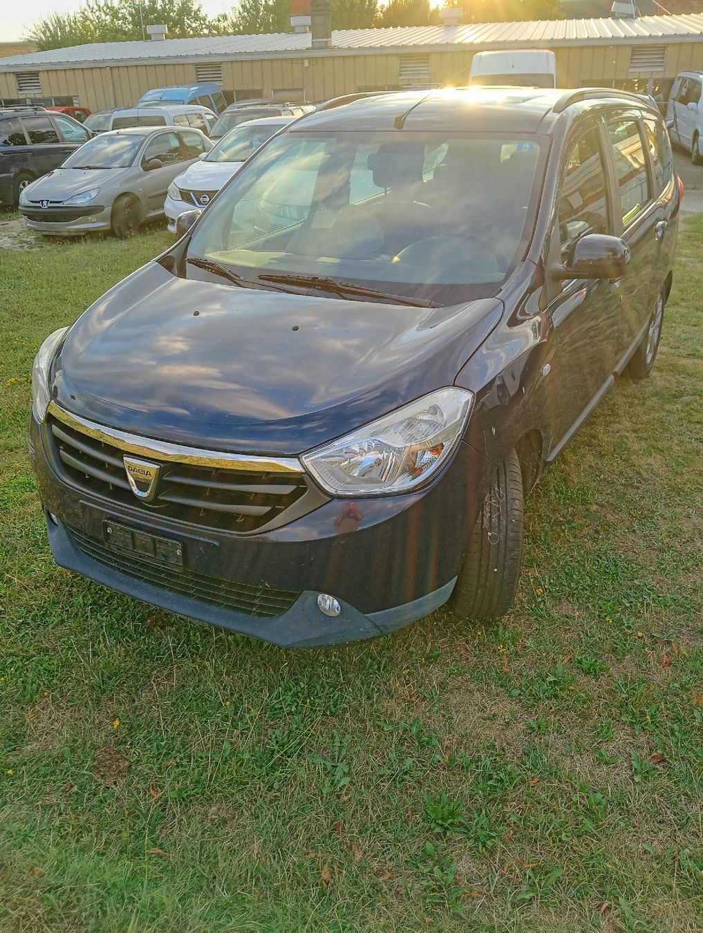Automobili: Dacia Lodgy1.2 – Difettoso da Bern venduto da exp_hm5r 1