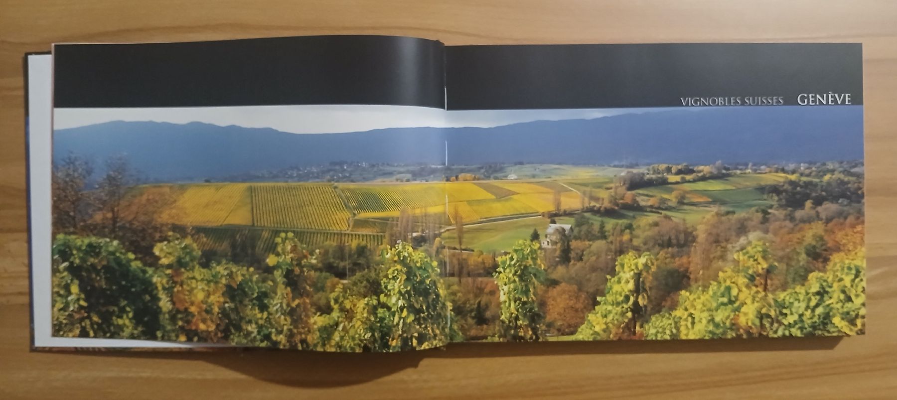 Libri: Vignobles Suisses – Usato da Le Sentier venduto da arc_2thy 2