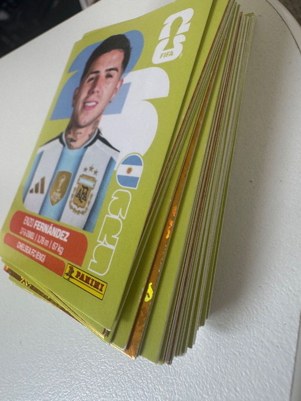 Panini Carte collezionabili: 55 Panini Sticker / WM 2026 – Usato da Chatelaine venduto da lae_7h8n 1