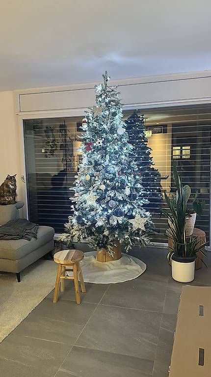 Tutte le decorazioni: Albero di Natale 210 cm – Usato da Caslano venduto da mar_vj2l 1