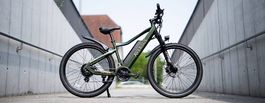 Aversus Bergsteiger E-Bike