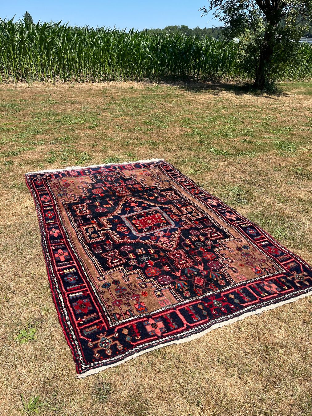 Tappeti: Orient Teppich Handgeknüpft Nahavand Iran – Usato da Allmendingen b. BE venduto da juair 3