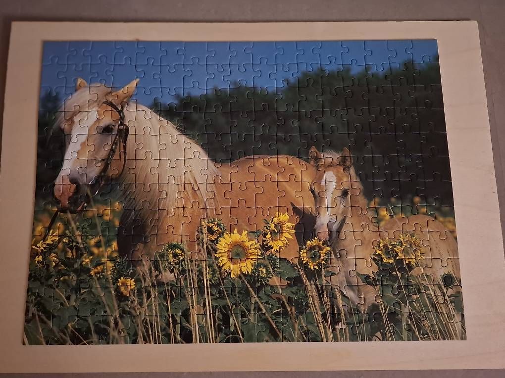 Puzzle: Ravensburger Kinderpuzzle Pferdeglück – Usato da Hellbühl venduto da jornie 1