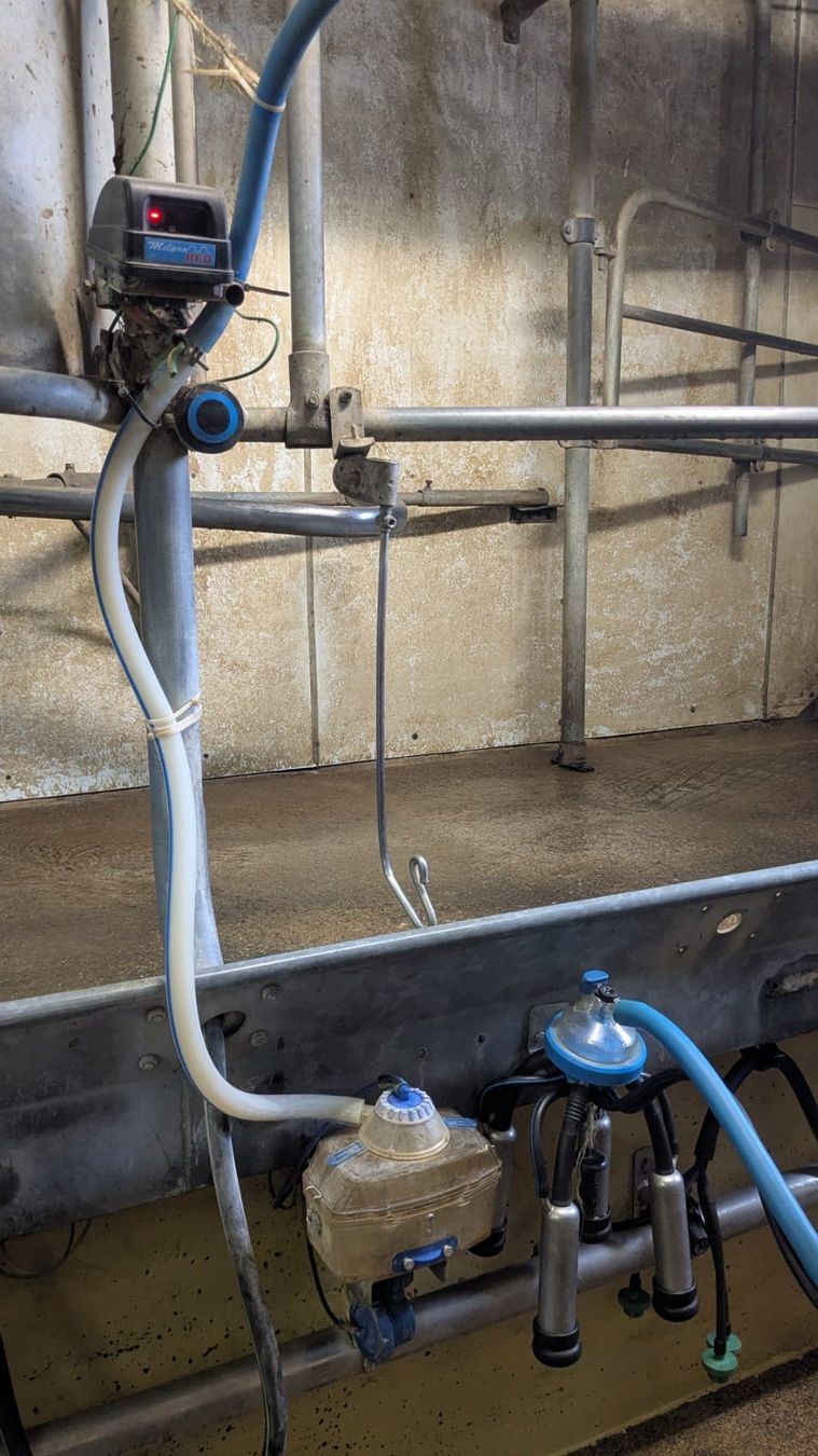 Tutte le macchine: Melkstand MILKLINE Ersatzteile – Usato da Büren zum Hof venduto da HKart 4