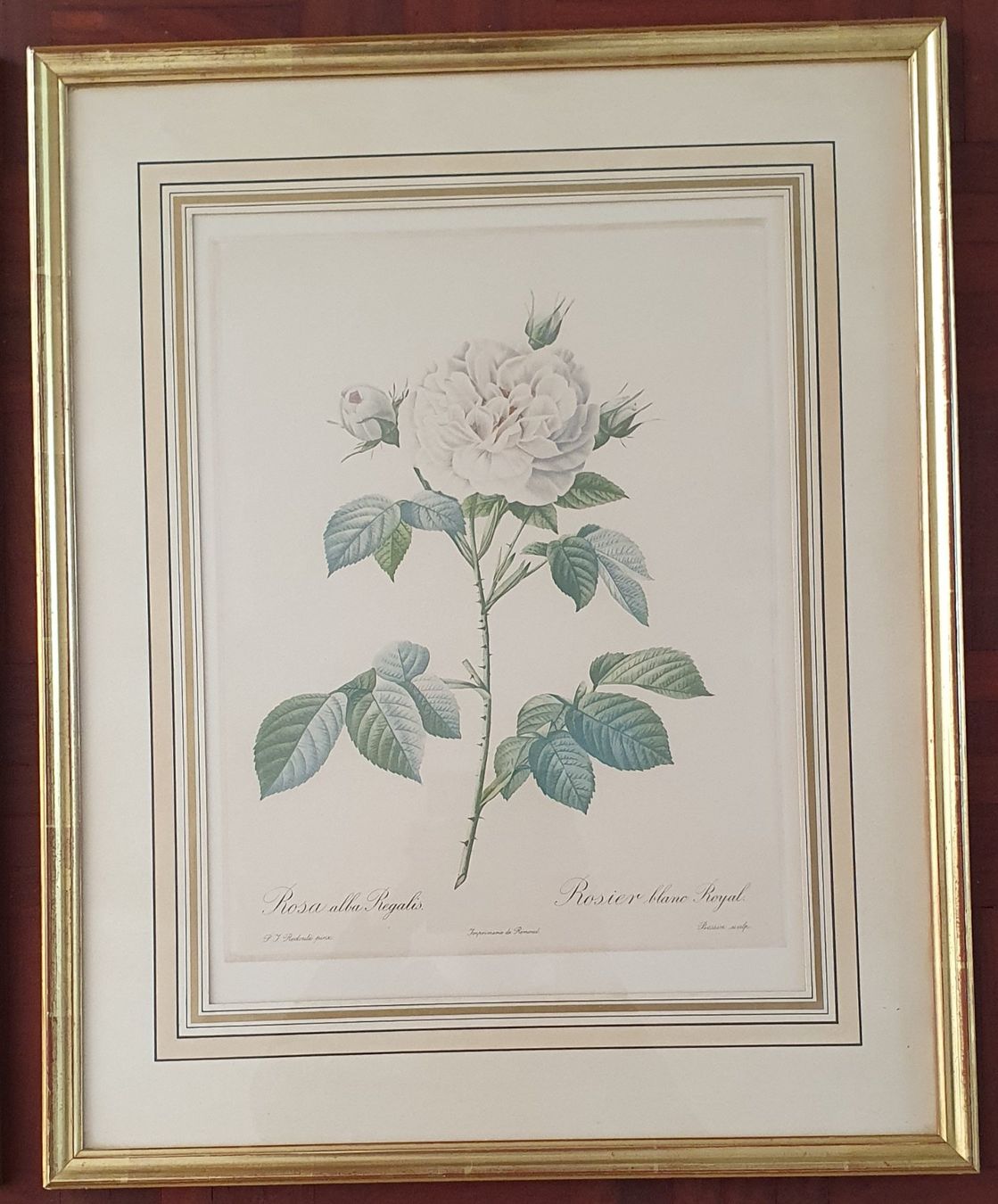 Poster & Bilder: 2 grosse Rosen Bilder im Goldrahmen – Gebraucht aus Kreuzlingen von Rschweiz1 2