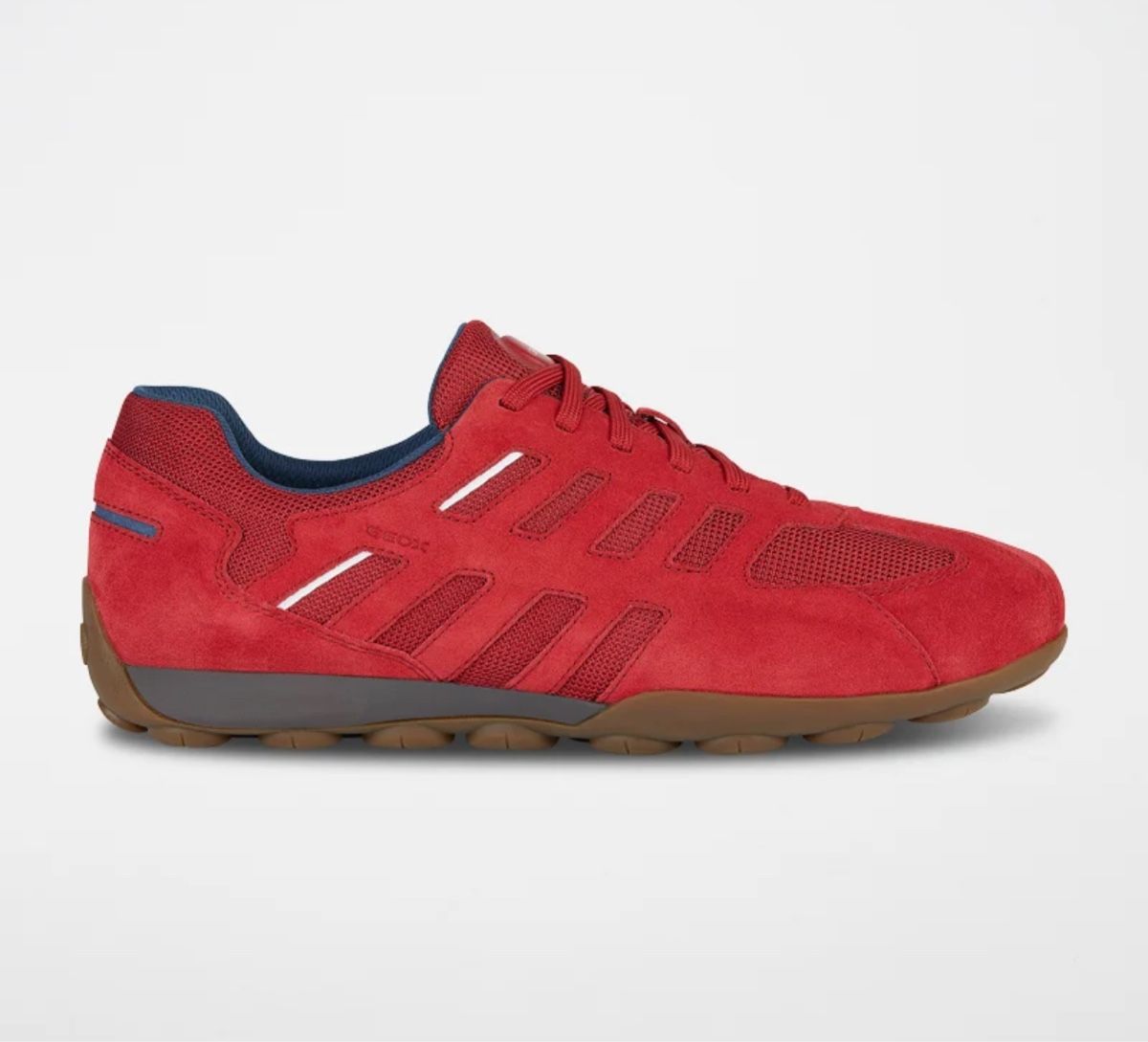 Geox Scarpe da uomo: Geox neuves taille 43 – Nuovo (secondo la descrizione) da Leysin venduto da hel_h2yl