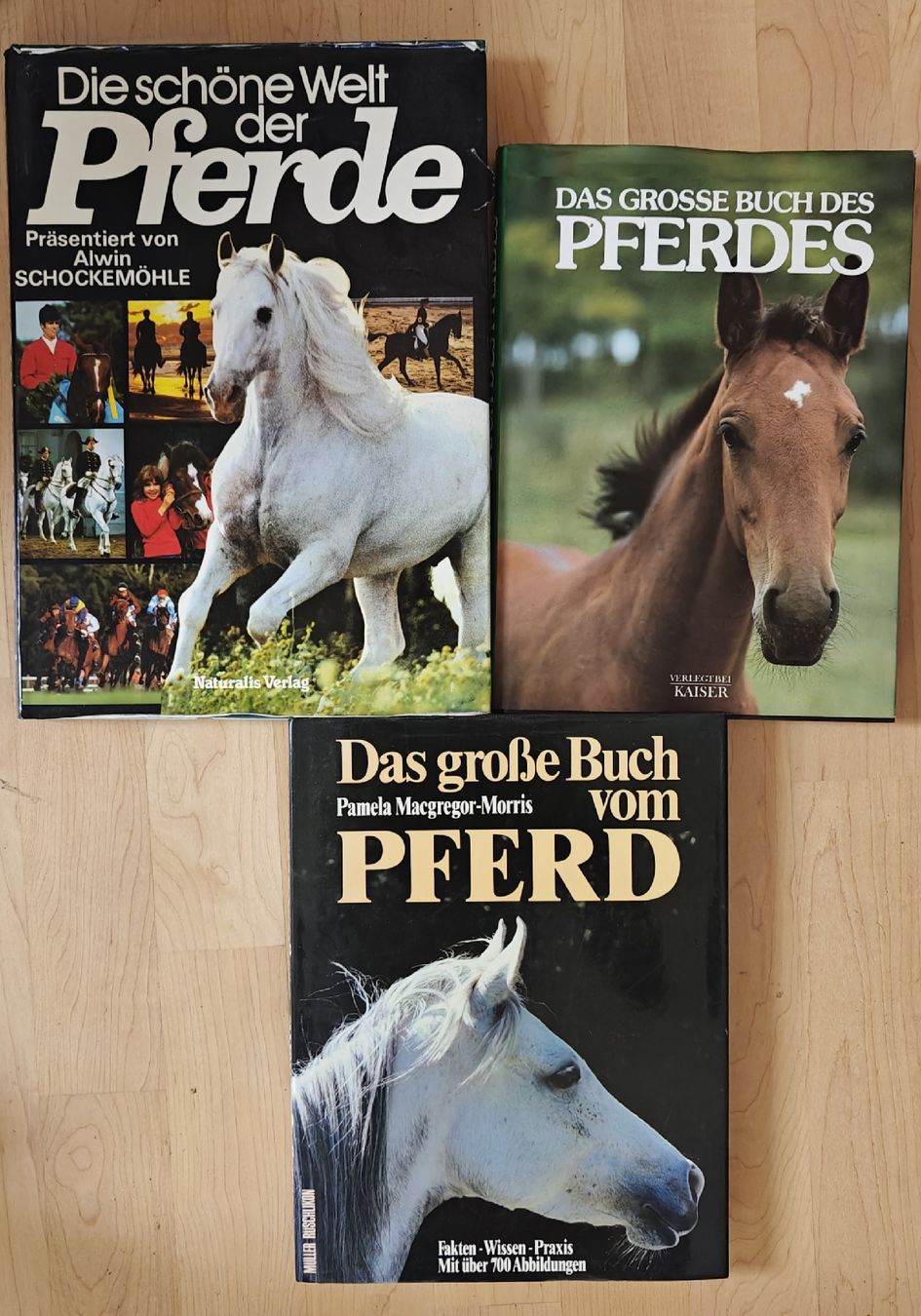 Bücher: Pferdebūcher – Gebraucht aus Lütisburg-Station von Seceal