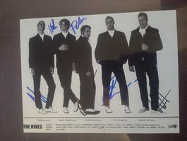 The Hives - signiert 20x25 cm - persönlich gesammelt