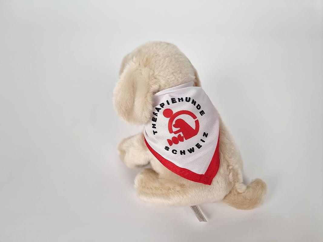 Jouets: Therapie-Hund Plüschtier – Neuf (Voir description) à Urtenen-Schönbühl par Restwert_Schoenbuehl 2