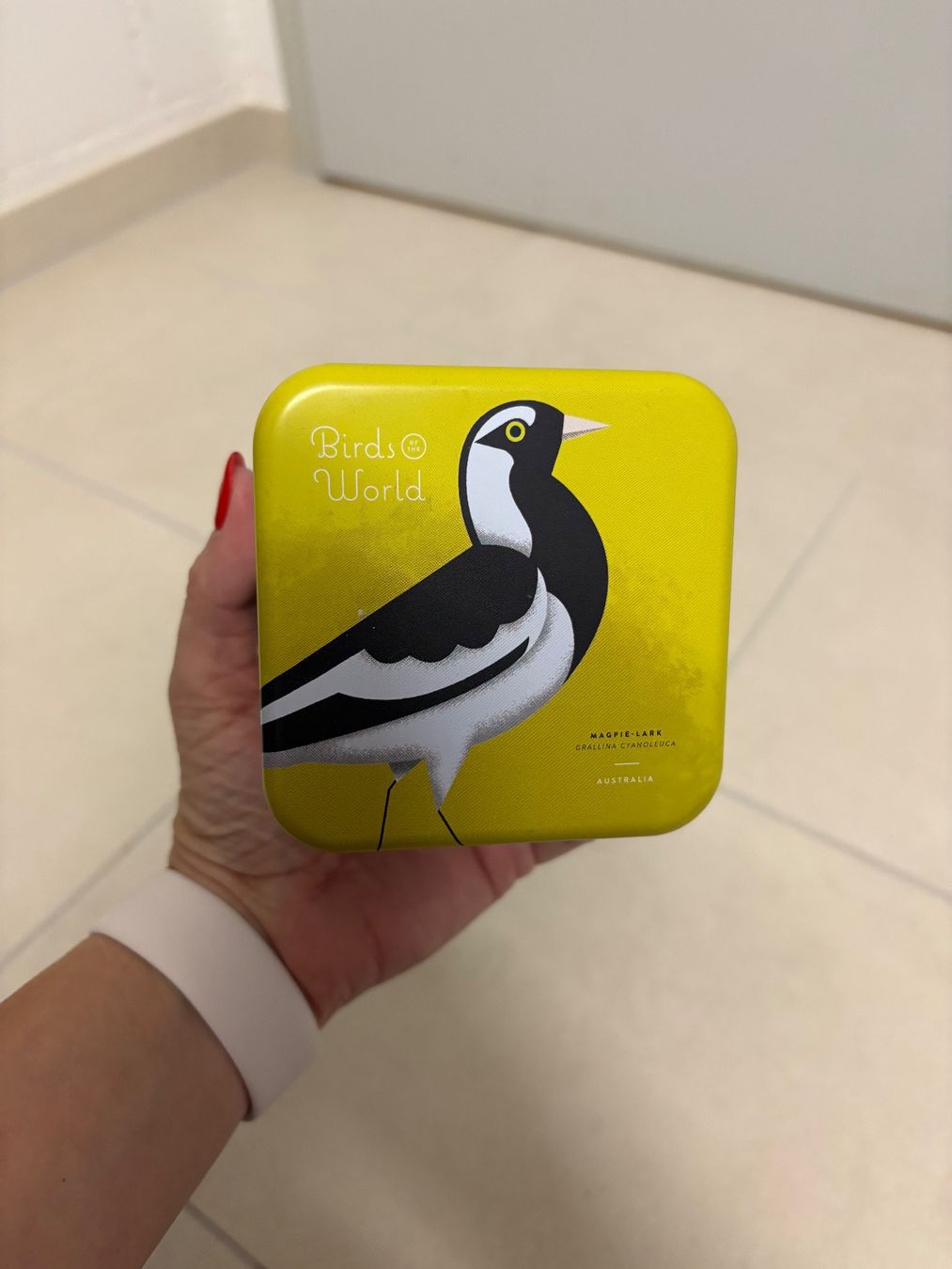 Zuckerdosen: Fossil Dose / Tin Box Vögel / Birds World – Gebraucht aus Basel von Tierschutz-Flohmi 1