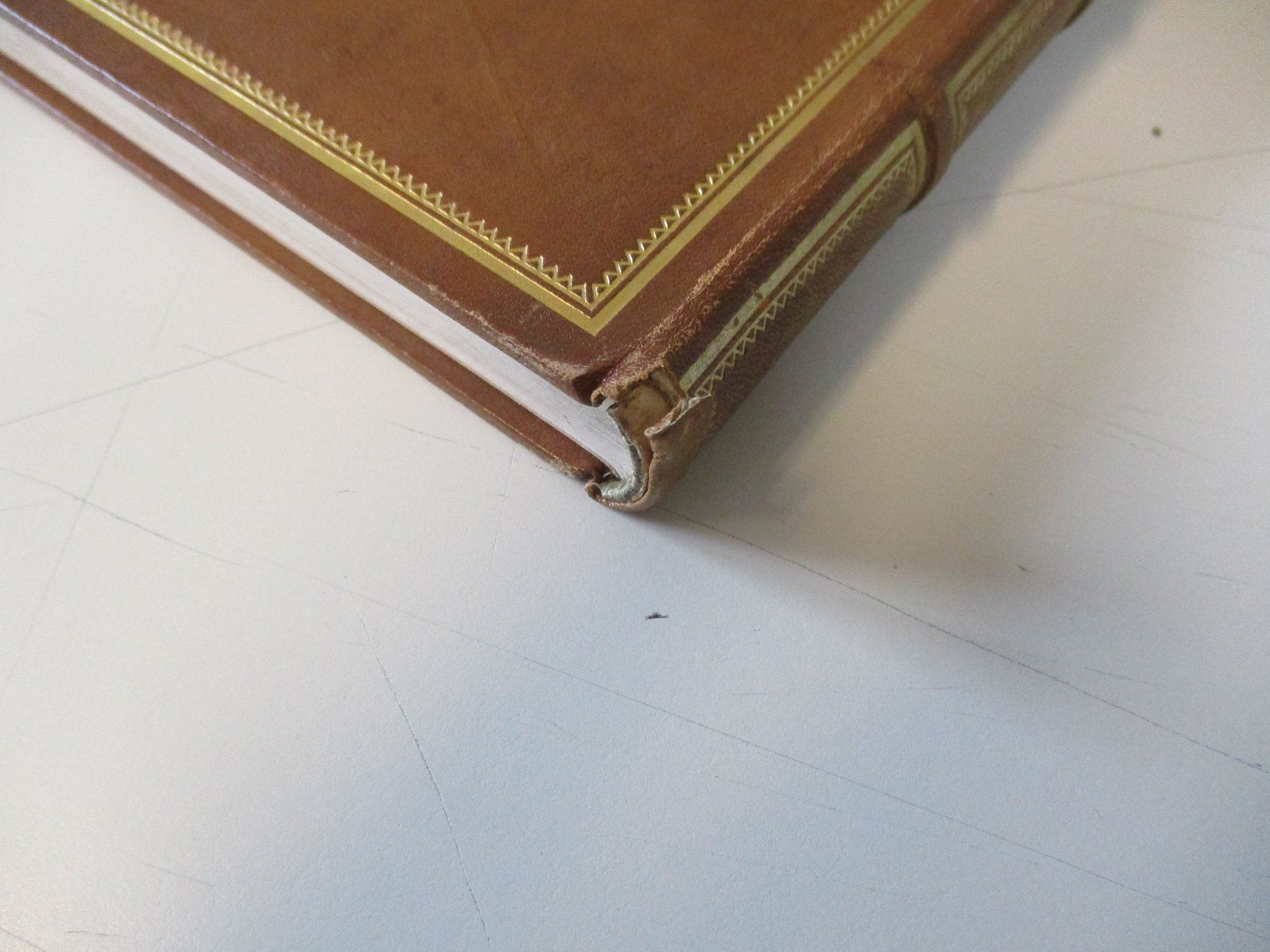 Bücher: CARL EINSTEIN - NEGERPLASTIK 1915 ERSTE AUFLAGE – Gebraucht aus Zürich von edi_9xtw 9
