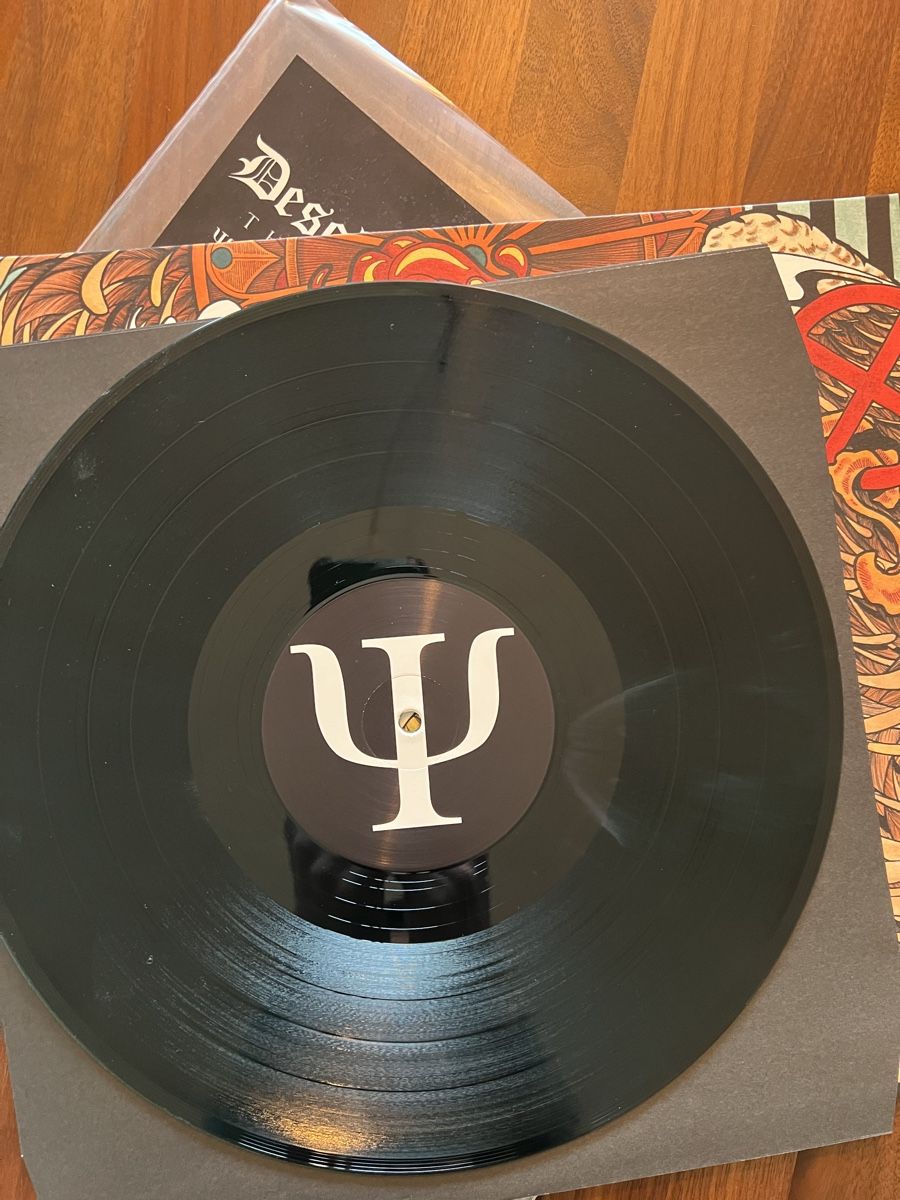 Dischi in vinile: Desolated The End Vinyl – Nuovo (secondo la descrizione) da Dübendorf venduto da CellarSeller 2