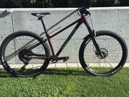 Norco Fluid HT 2 29”