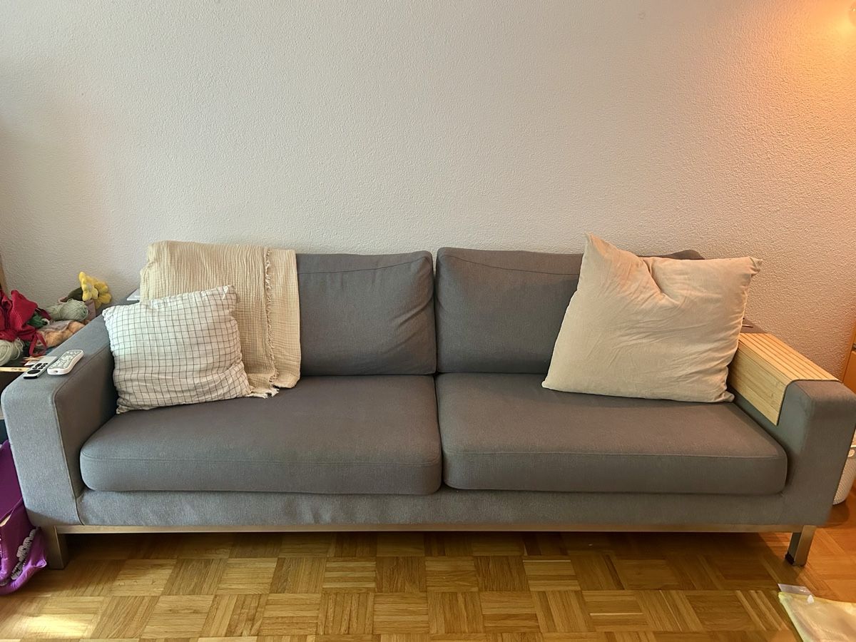 Sofas: Dänischer Design Klassiker - zwei Sofas, 2er und 3er – Gebraucht aus Bern von recelbern