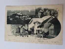 Ansichtskarte Regensberg Restaurant Bienengarten gelaufen RZ