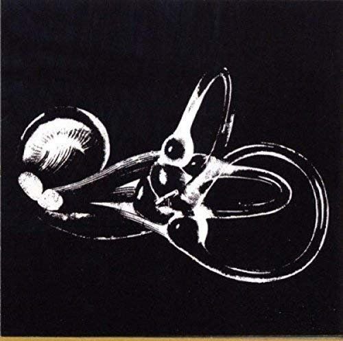 CD: Obtainium by Skeleton Key – Usato da Altdorf UR venduto da boardsofcanada