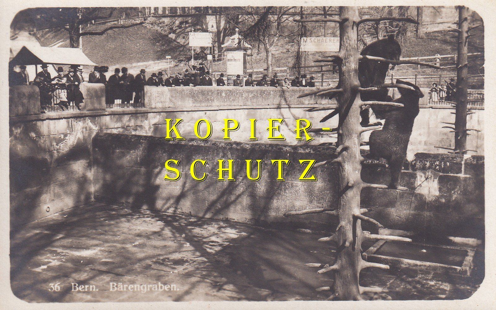 Cartoline postali: Bern - Bärengraben /bc – Usato da Hombrechtikon venduto da Rudolf07