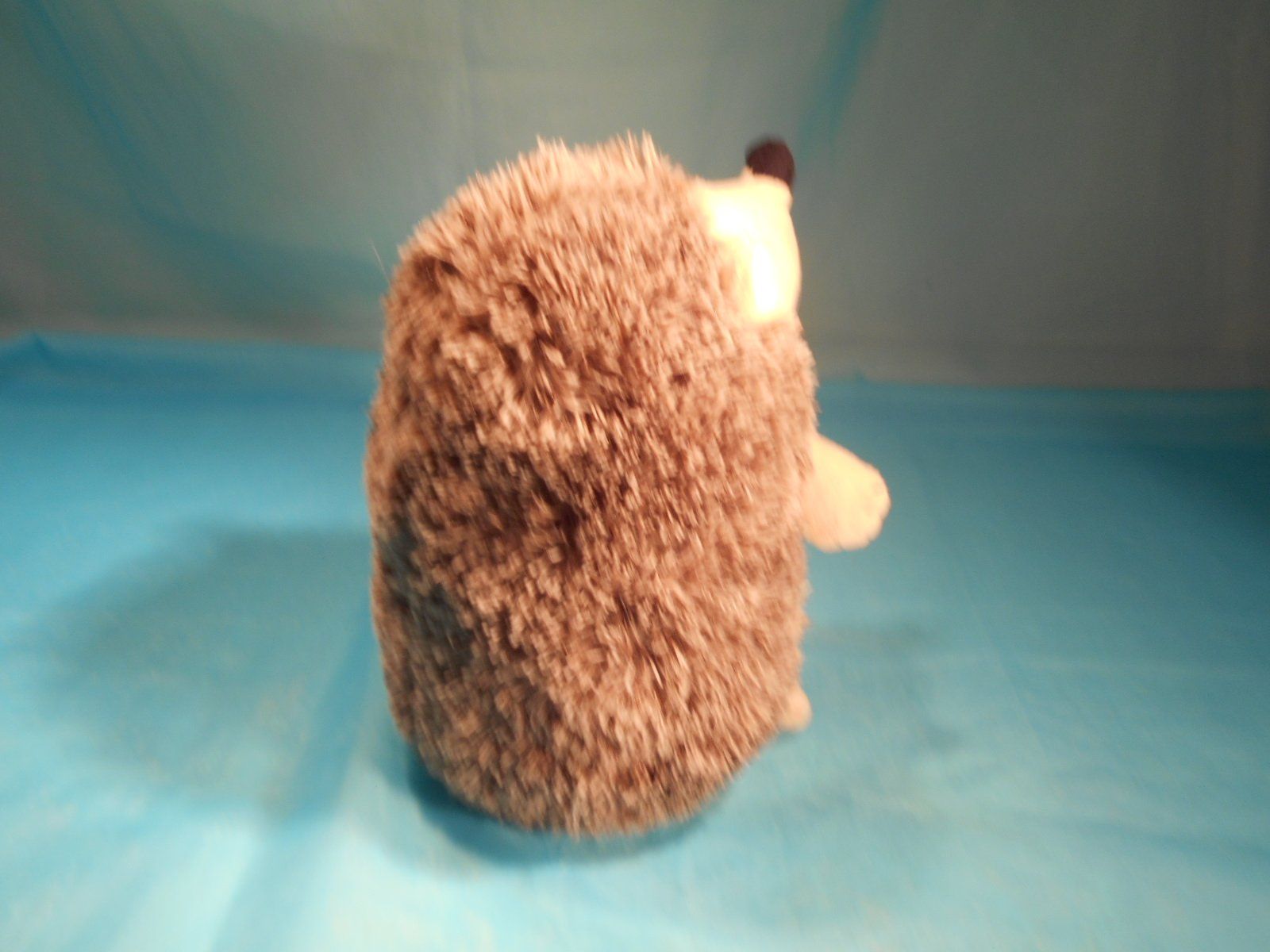 Coop Giocattoli: Igel, Plüsch, L: 20cm, Charly – Usato da Bellach venduto da JingleCherry 2