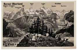 Vogelschau-AK Berner Oberland