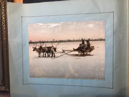 Photochrome 46 Bilder  aus Europa auf farbigem Papier