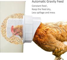 Futter Hühner kein Abfall automatischer Geflügelfütterer