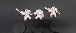 warhammer 40K 3x Aquilon Terminators infernus firepikes
