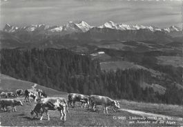 G 9445   Kurhaus  (1150 m ü. M.) mit Aussicht auf die Alpen