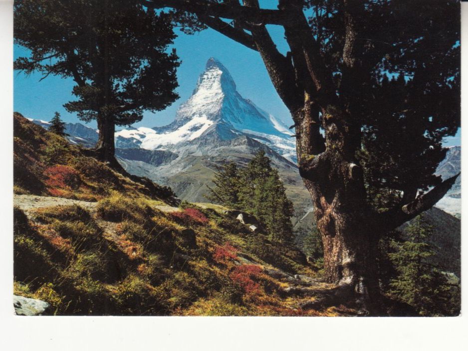 Cartoline postali: Zermatt 1993 – Usato da Bürglen TG venduto da StampGraf