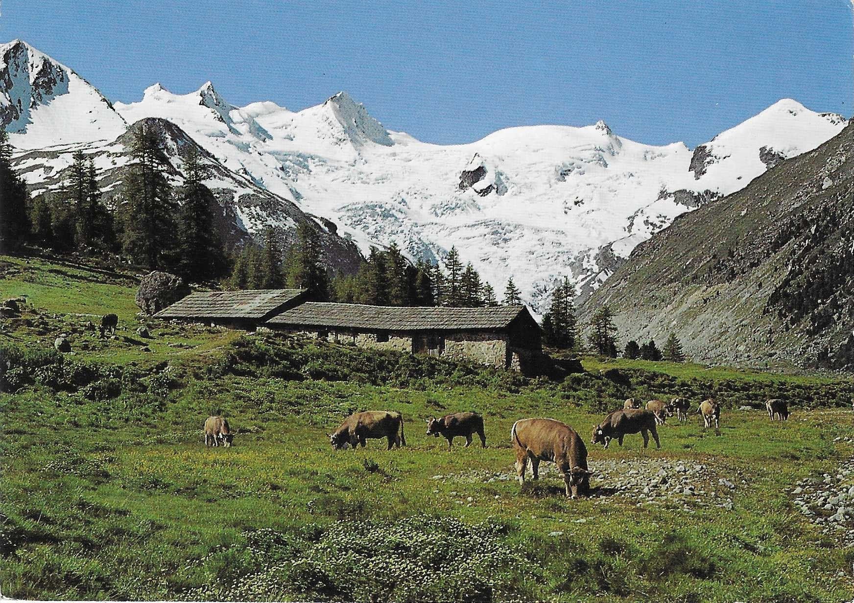Cartoline postali: Im Rosegtal GR – Nuovo (secondo la descrizione) da Rothrist venduto da Stranglehold