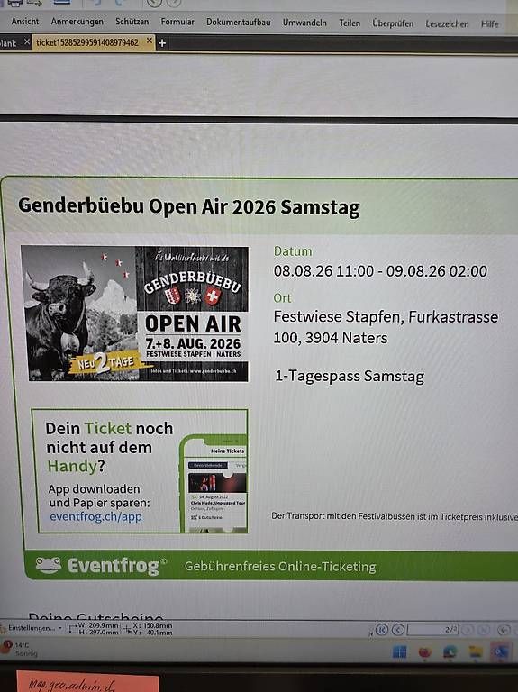 Billets: 1 Ticket Genderbüebe Openair Samstag 08.08.2026 – D'occasion à Aeschiried par Phz1