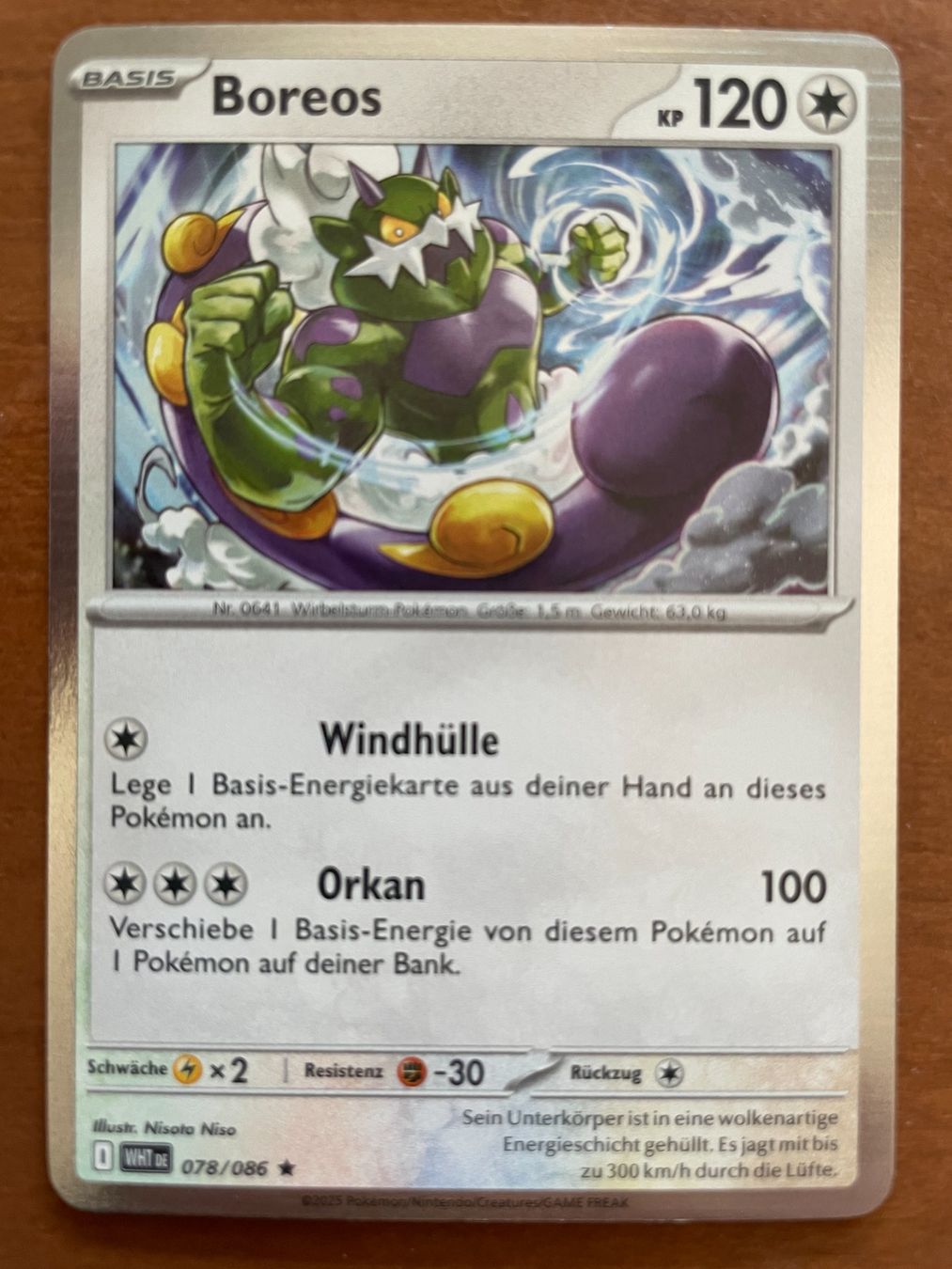 Pokémon Carte collezionabili: Pokemon Boreos Holo (Versand gratis) – Nuovo (secondo la descrizione) da Chur venduto da Angerson