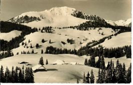 Jaunpass