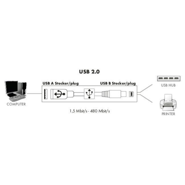Unità & Adattatore: USB 2.0 Anschlusskabel – Nuovo (secondo la descrizione) da Chur venduto da swisskosss 2