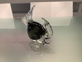 Poisson Murano