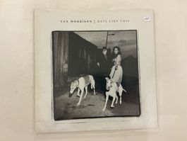 Van Morrison LP - Days Like This