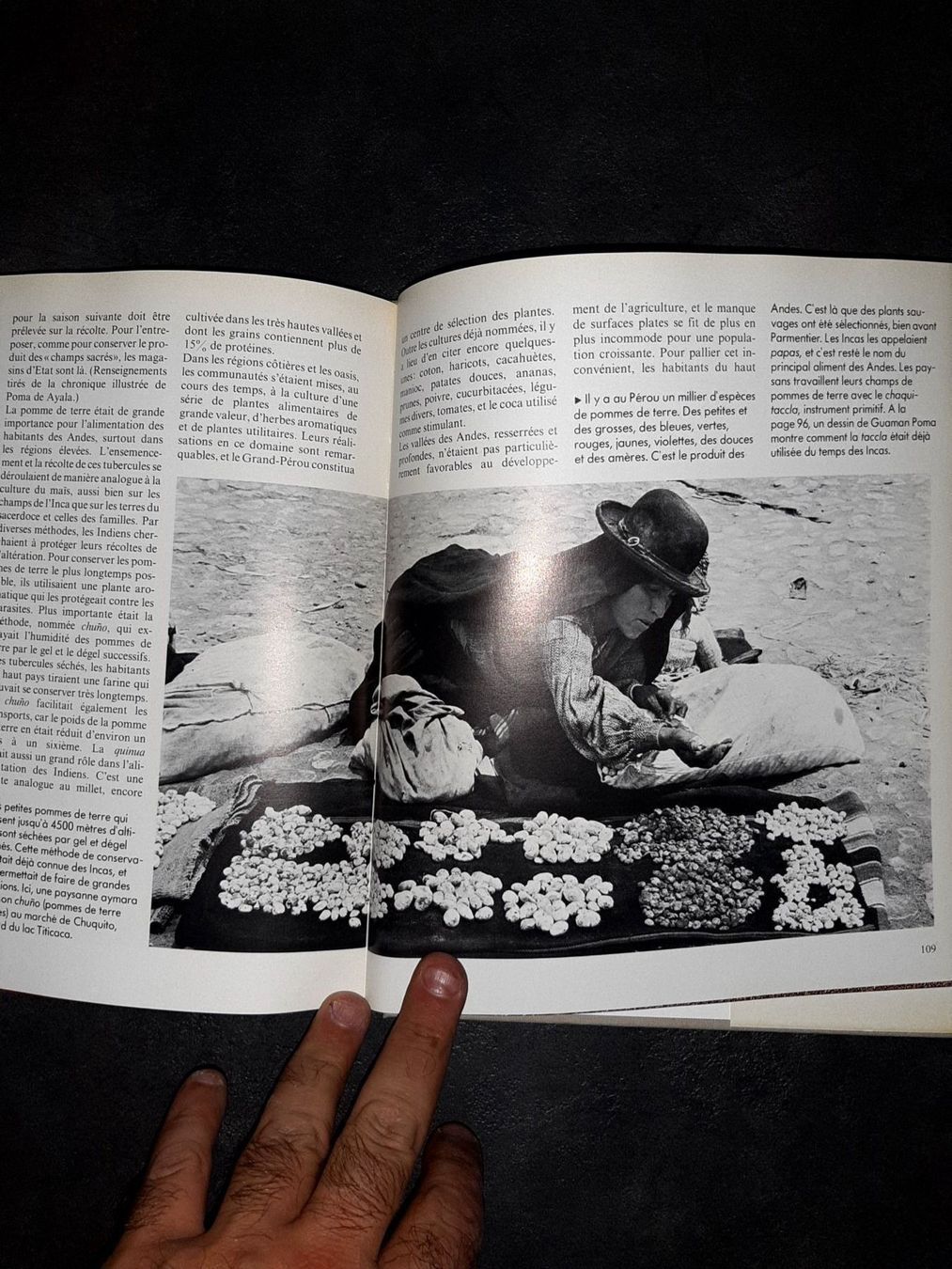 Libri: Les incas – Usato da Le locle venduto da juliensaran 2