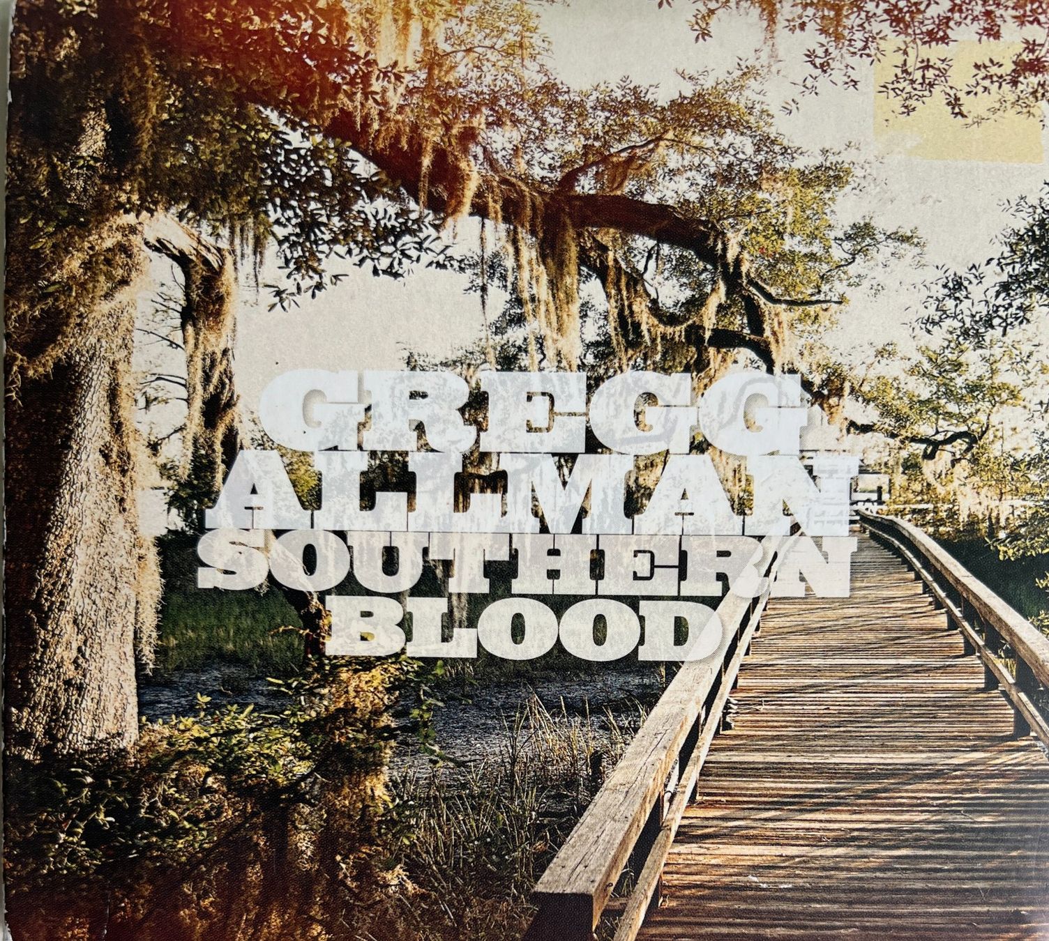 CD: GREGG ALLMAN / Southern Blood – Usato da Bischofszell venduto da kustavi