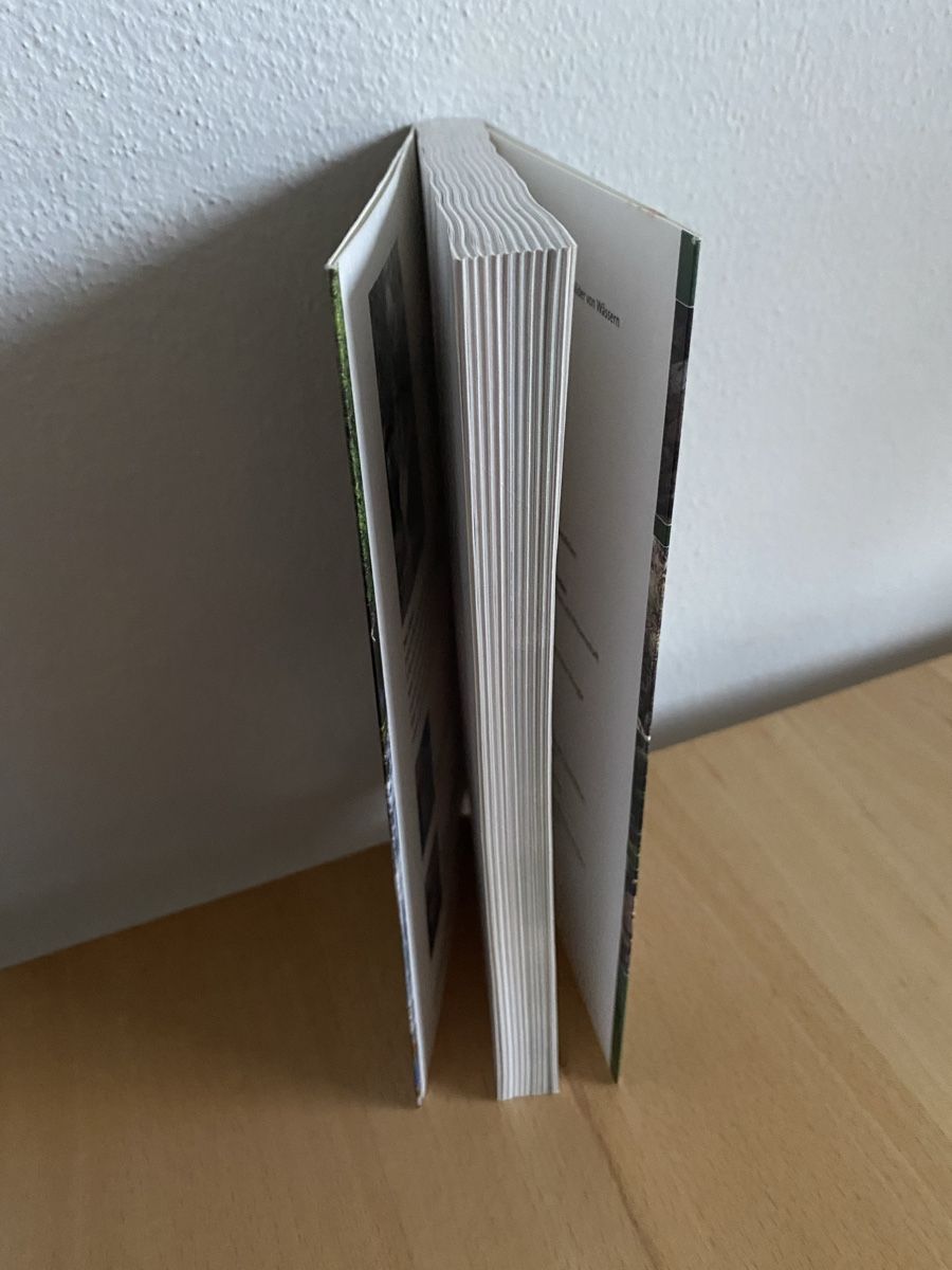 Libri: Quellen der Kraft - Pier Hänni – Usato da Schwarzenburg venduto da Michellu 2